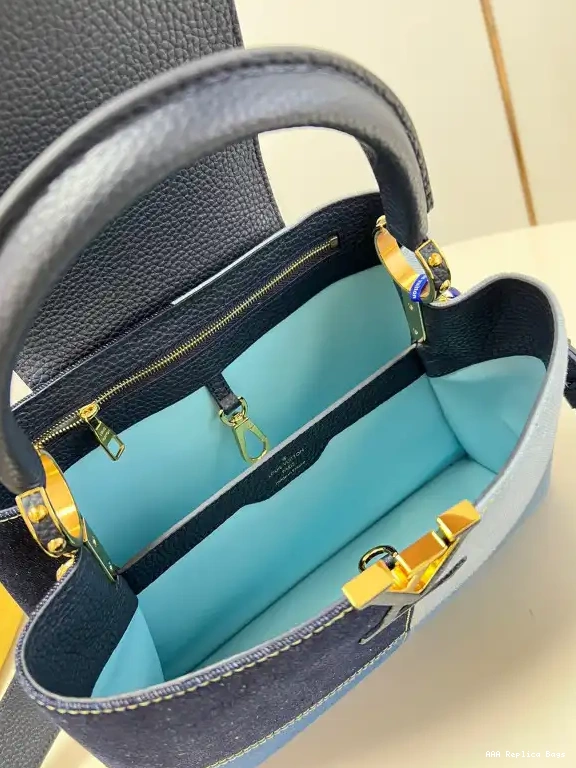 Aaa replica bags VUITTON CAPUCINES MM LOUIS 0613